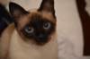 dsc_0006_small.jpg